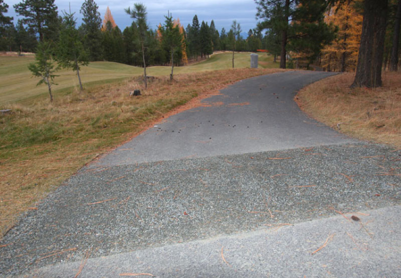 Sidewalk Repair